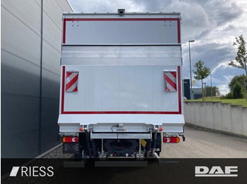 新的 侧帘卡车 DAF XB 290 FA 16t Pritsche Schiebeplane Edscha LBW K：图4